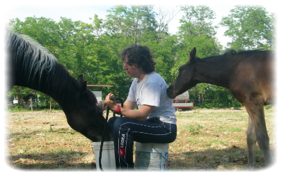 MATTIA PUGGIONINU - THE HORSE SENSE