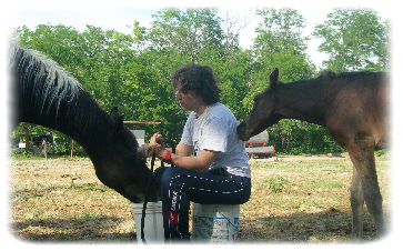 MATTIA PUGGIONINU - THE HORSE SENSE